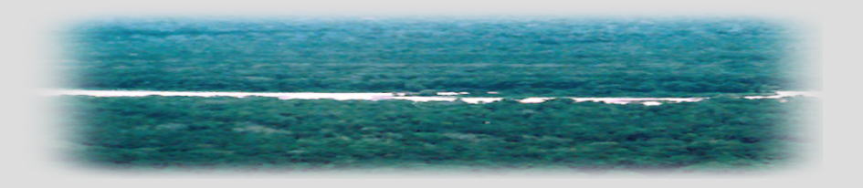 �M�ѐX�ї��p�̃��[�J���E�K�o�i���X�̉\���Ɋւ���n��Ԕ�r����