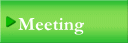 Meeting